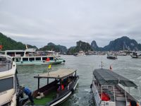 Halong-Bucht (Tenderboote an der Ti Top-Insel)
