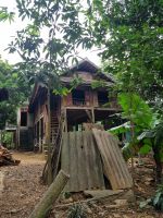 Mai Chau (Dorf der ethnischen Minderheit)