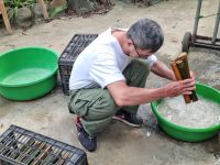 Mai Chau (Dorf der ethnischen Minderheit - Zubereitung von Klebereis)