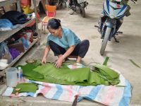 Mai Chau (Dorf der ethnischen Minderheit - Zubereitung von Klebereis)