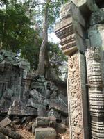 Dschungeltempel Ta Prom (13)