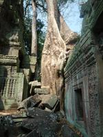 Dschungeltempel Ta Prom (18)