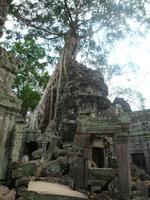 Dschungeltempel Ta Prom (27)