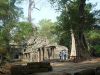 Dschungeltempel Ta Prom (4)