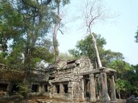 Dschungeltempel Ta Prom (5)