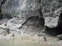 Dschunkenfahrt in der Ha Long-Bucht (25)