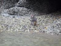 Dschunkenfahrt in der Ha Long-Bucht (26)