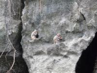 Dschunkenfahrt in der Ha Long-Bucht (27)