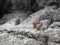 Dschunkenfahrt in der Ha Long-Bucht (35)
