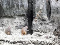 Dschunkenfahrt in der Ha Long-Bucht (38)