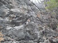 Dschunkenfahrt in der Ha Long-Bucht (94)