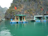 Dschunkenfahrt in der Ha Long-Bucht (99)