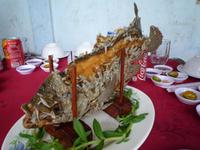 Elefantenohrfisch-Essen (1)