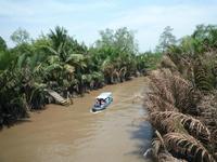 Im Mekong Delta (23)