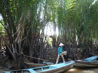 Im Mekong Delta (57)