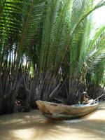 Im Mekong Delta (65)