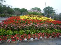 Kaiserstadt Hue (23)