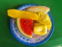 Mekong-Delta (Pause auf der Insel Tan Phong)