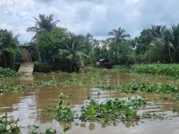 Bootsfahrt im Mekong-Delta 