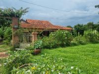 Mekong-Delta (Mittagspause auf der Insel An Binh - 