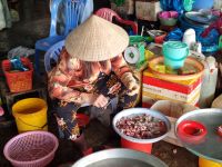 Mekong-Delta (Cần Thơ - 