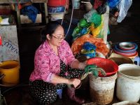 Mekong-Delta (Cần Thơ - 