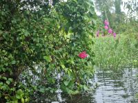 Mekong-Delta (Landschaftsschutzgebiet 