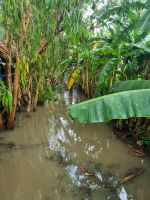 Mekong-Delta (Landschaftsschutzgebiet 