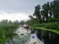 Mekong-Delta (Landschaftsschutzgebiet 