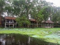 Mekong-Delta (Landschaftsschutzgebiet 