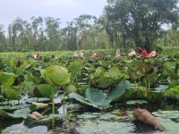 Mekong-Delta (Landschaftsschutzgebiet 