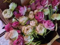 Phnom Penh (Buddhistischer Tempel 