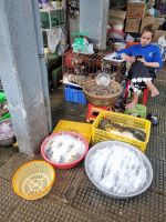 Phnom Penh (Zentralmarkt)