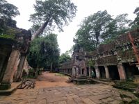 Siem Reap (Tempel 