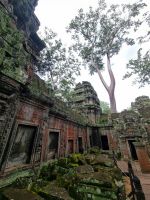 Siem Reap (Tempel 