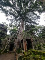 Siem Reap (Tempel 