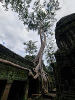 Siem Reap (Tempel 