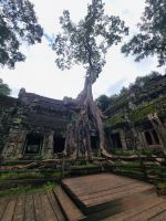 Siem Reap (Tempel 