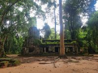 Siem Reap (Tempel 
