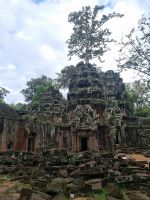 Siem Reap (Tempel 
