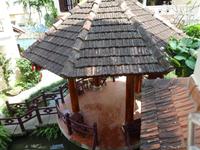 Lotus Hotel Hoi An (3)