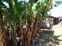 Mit dem Jepp zum Aussichtspunkt- Dorf bei Da Lat (34)