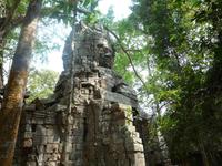 Nordtor des Dschungeltempels