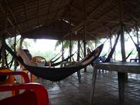 Pause im Hängematten-Café (3)