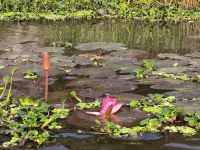 Vietnam. Bootsfahrt durch die Trockene Halong Bucht