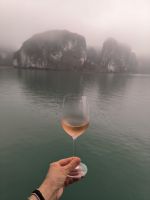 Vietnam. Halong Bay. Zum Wohl