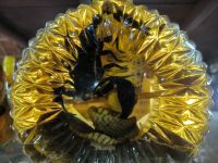 Schnaps mit Skorpion (Medizin) &ndash; &copy; Heike Jack (Eberhardt TRAVEL)