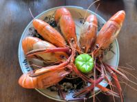 Vorspeise &ndash; &copy; Heike Jack (Eberhardt TRAVEL)