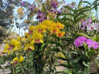 Vietnam. Naturpark Tra Su  &ndash; &copy; Heike Jack (Eberhardt TRAVEL)