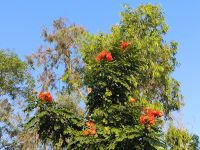 Vietnam. Naturpark Tra Su  &ndash; &copy; Heike Jack (Eberhardt TRAVEL)